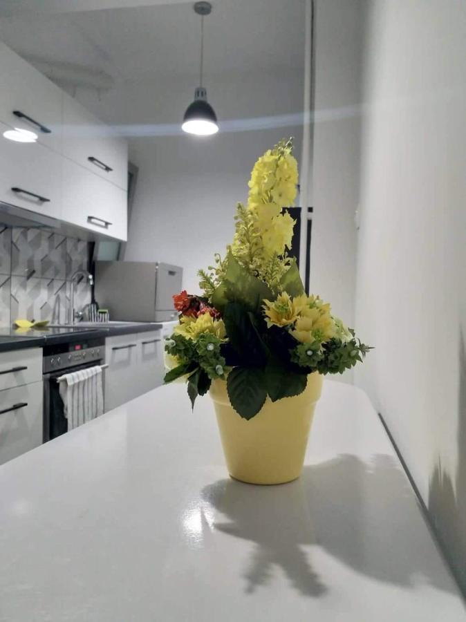 A Convenient Apartment In The Heart Of أثينا المظهر الخارجي الصورة